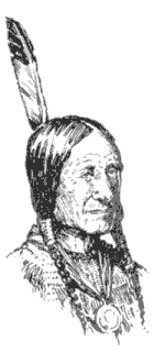 American Horse Indian Chief